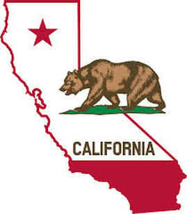 The Californian Bear - Popgoz